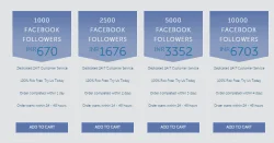 facebook followers packages
