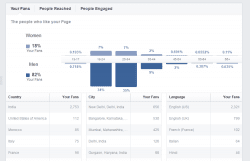 Facebook Audience insights