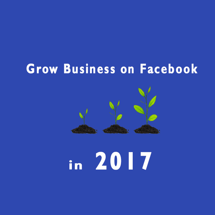 Grow-business-on-Facebook-in-2017