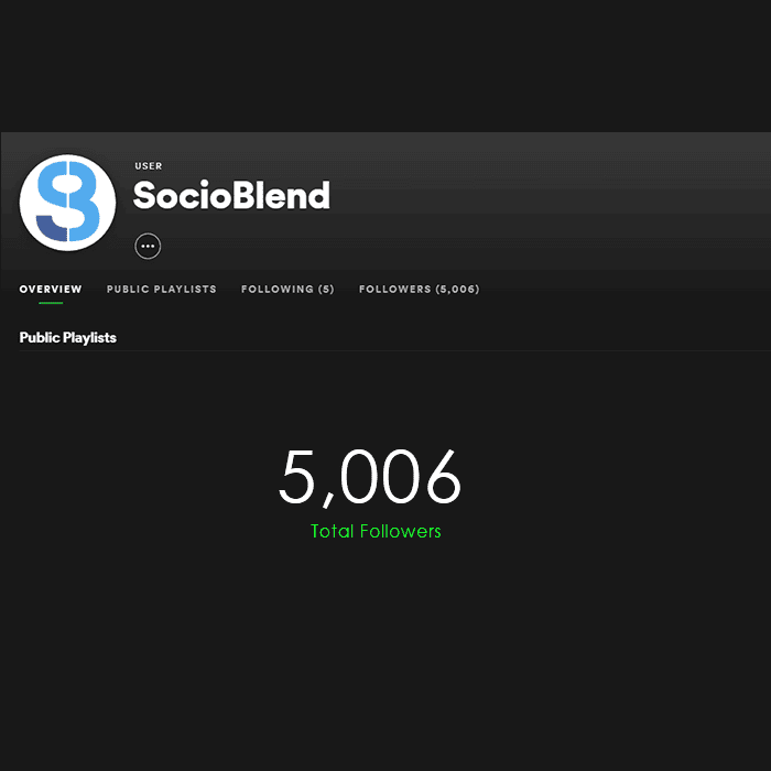 socioblend spotify profile