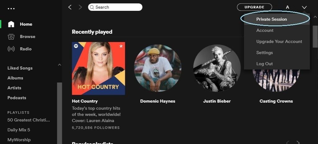 private session on spotify