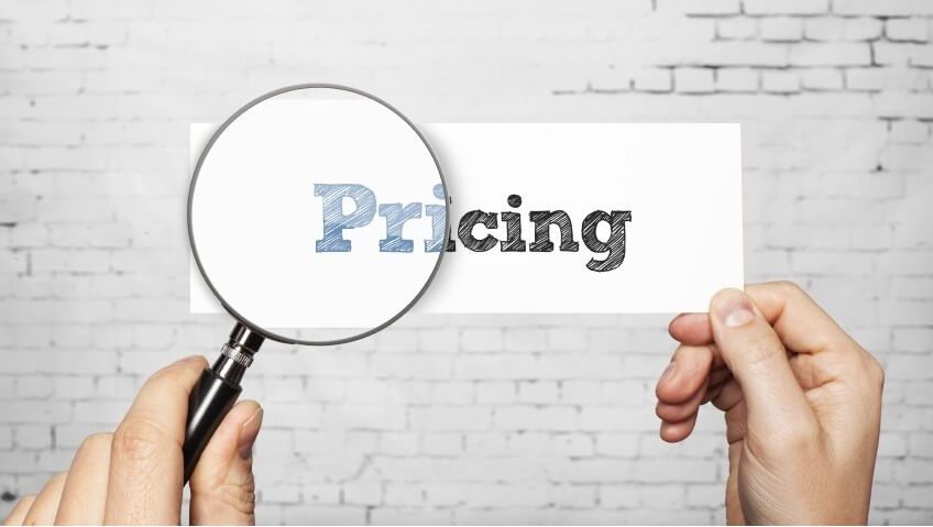 Pricing and Subscription Options
