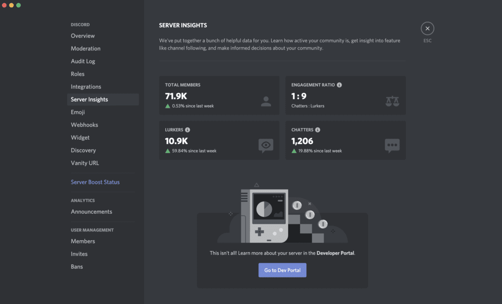 Discord Server Insights