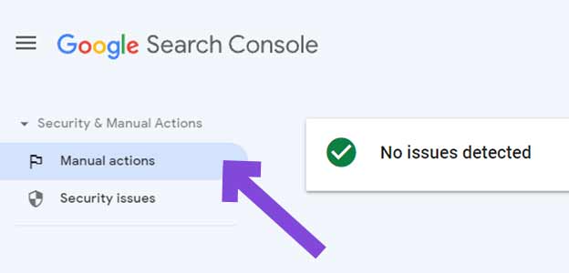 Google search console (manual actions)