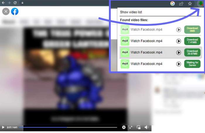 chrome extension Facebook video downloader