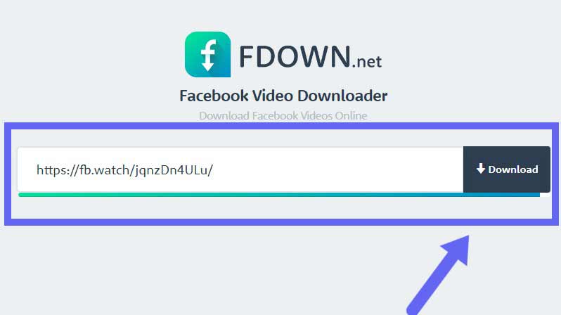 Fdown.net guide to download Facebook video (step 2)