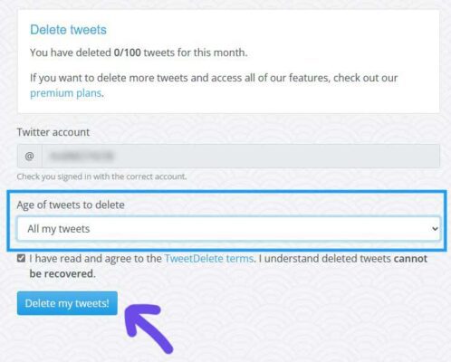 Delete my tweets button on TweetDelete website
