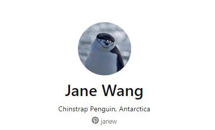 Jane Wang Pinterest