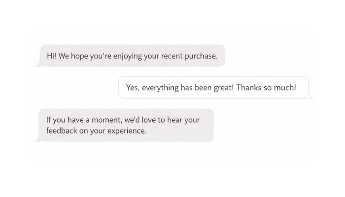 conversation to ask customers to leave a feedback on Trustpilot