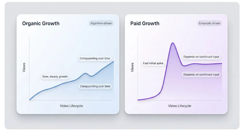 Side-by-side graph comparing organic YouTube growth with steady compounding and paid growth with a fast spike followed by stabilization